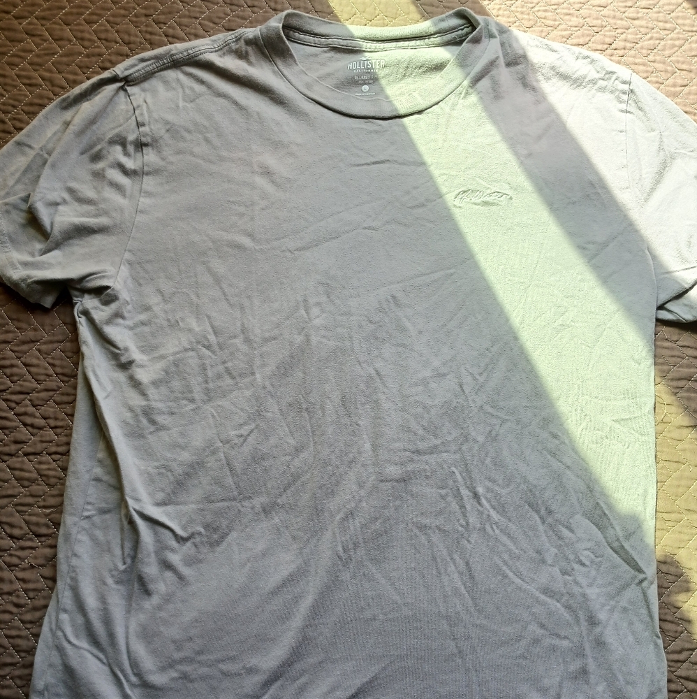 Hollister Men's Gray Relaxed-Fit T-Shirt